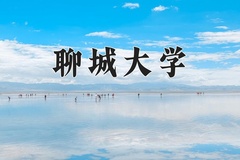 2024年聊城大学在河南计划招生人数（附学费及专业录取分)