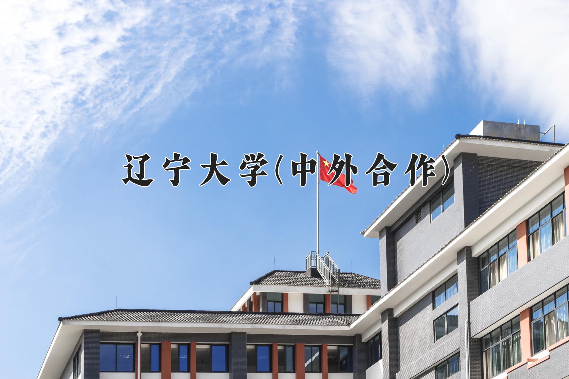 辽宁大学(中外合作)