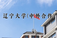 2024年辽宁大学(中外合作)在四川计划招生人数（附学费及专业录取分)