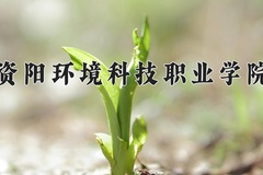 2024年资阳环境科技职业学院在四川计划招生人数（附学费及专业录取分)