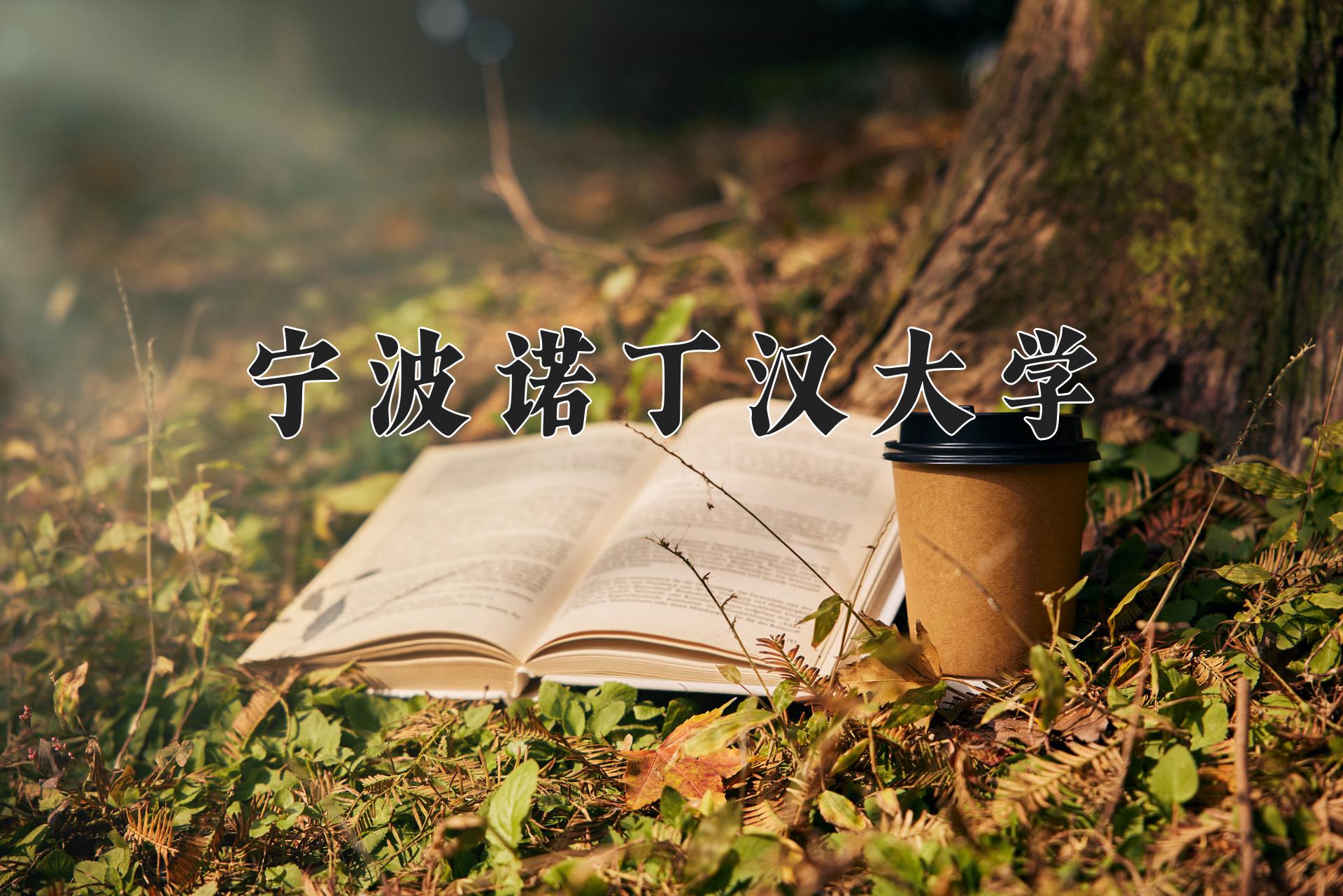 宁波诺丁汉大学