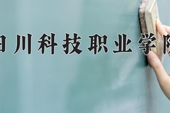 2024年四川科技职业学院在河南计划招生人数（附学费及专业录取分)