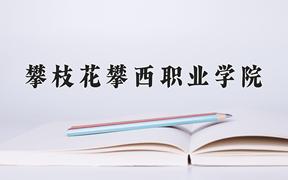 2024年攀枝花攀西职业学院在四川计划招生人数（附学费及专业录取分)