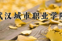 2024年武汉城市职业学院在四川计划招生人数（附学费及专业录取分)