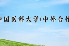 2024年中国医科大学(中外合作)在四川计划招生人数（附学费及专业录取分)