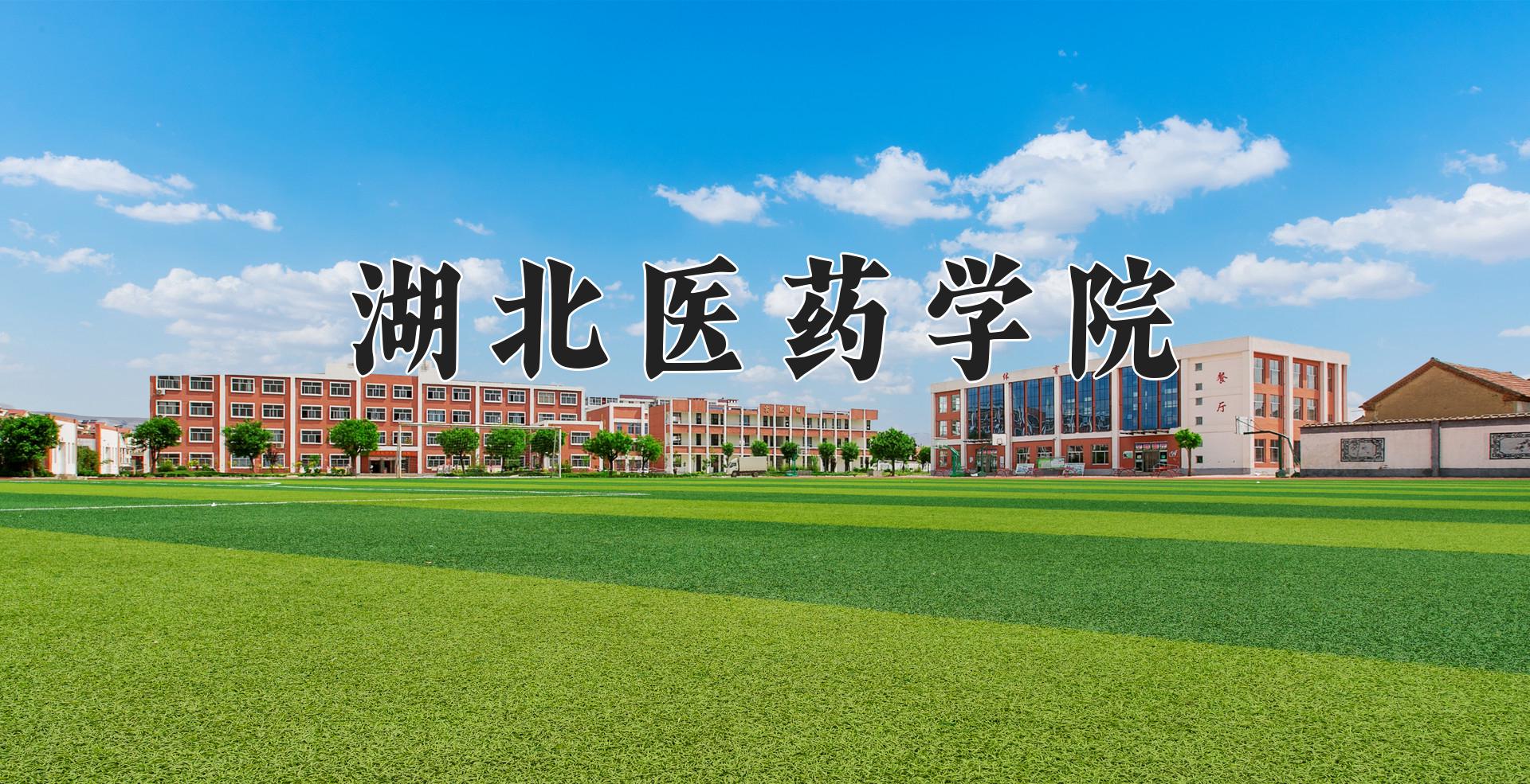 湖北医药学院