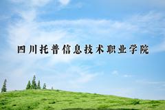 2024年四川托普信息技术职业学院在四川计划招生人数（附学费及专业录取分)