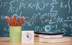 2024年宁夏大学(中外合作)在四川计划招生人数（附学费及专业录取分)