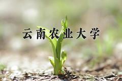 2024年云南农业大学在四川计划招生人数（附学费及专业录取分)