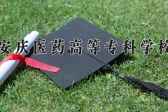 2024年安庆医药高等专科学校在河南计划招生人数（附学费及专业录取分)