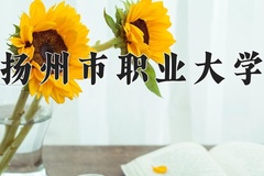 2024年扬州市职业大学在四川计划招生人数（附学费及专业录取分)