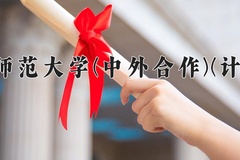 2024年东北师范大学(中外合作)(计算机)在四川计划招生人数（附学费及专业录取分)