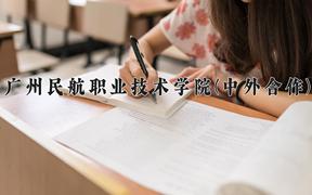 2024年广州民航职业技术学院(中外合作)在四川计划招生人数（附学费及专业录取分)