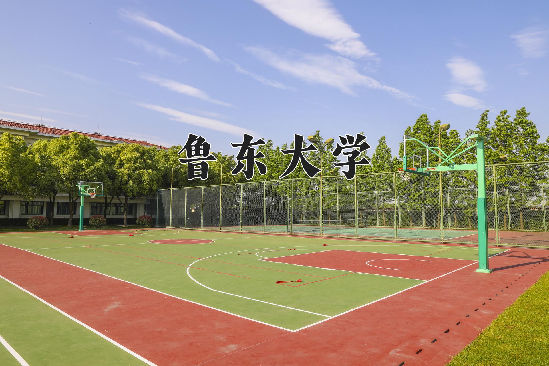 鲁东大学