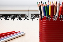 2024年东北师范大学(中外合作)在四川计划招生人数（附学费及专业录取分)