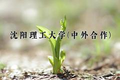 2024年沈阳理工大学(中外合作)在四川计划招生人数（附学费及专业录取分)