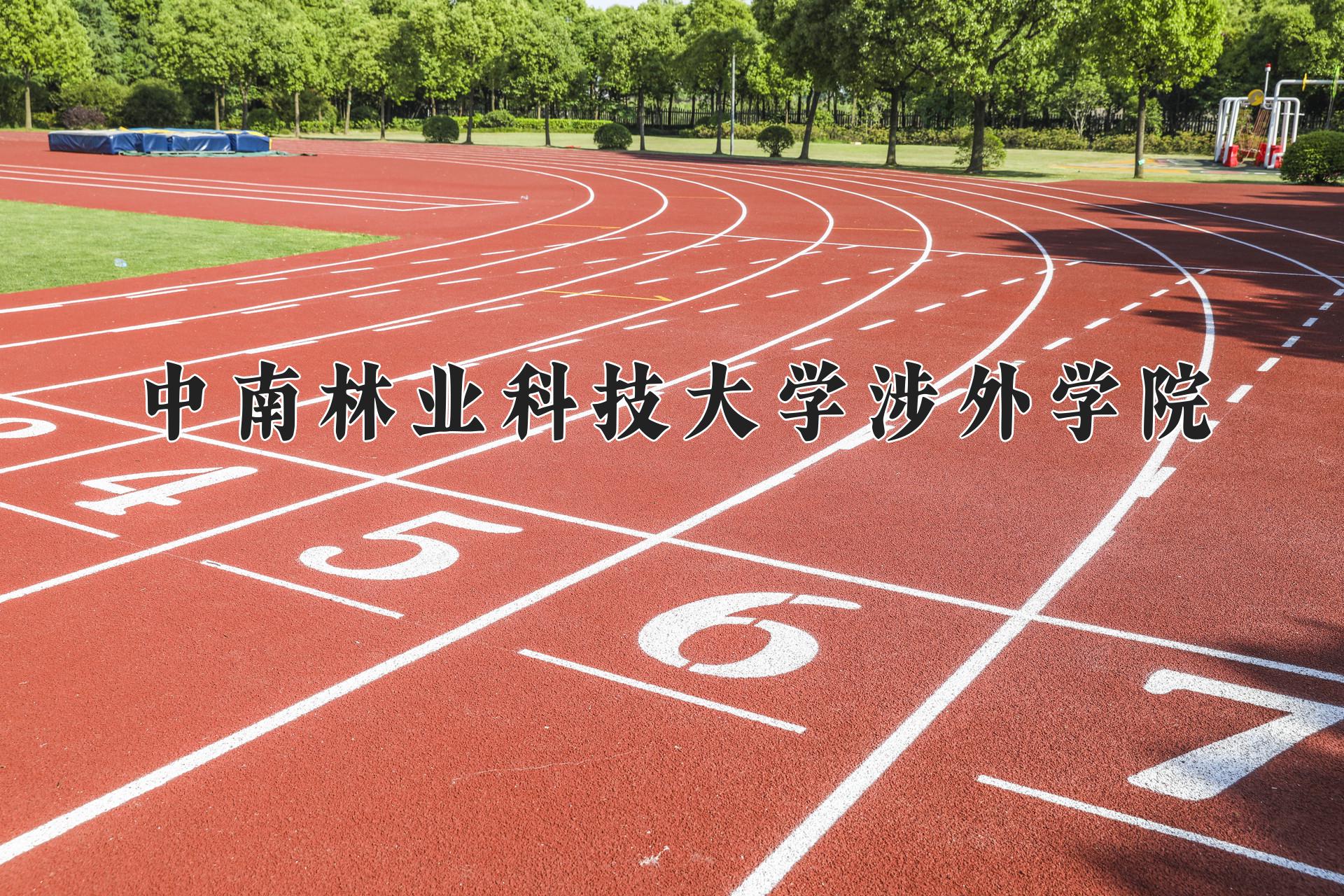 中南林业科技大学涉外学院