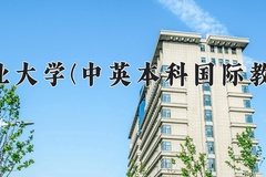 2024年新疆农业大学(中英本科国际教育项目)在四川计划招生人数（附学费及专业录取分)