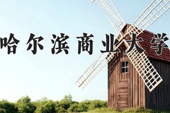 2024年哈尔滨商业大学在河南计划招生人数（附学费及专业录取分)
