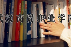 2024年武汉商贸职业学院在四川计划招生人数（附学费及专业录取分)