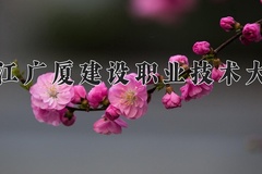 2024年浙江广厦建设职业技术大学在河南计划招生人数（附学费及专业录取分)