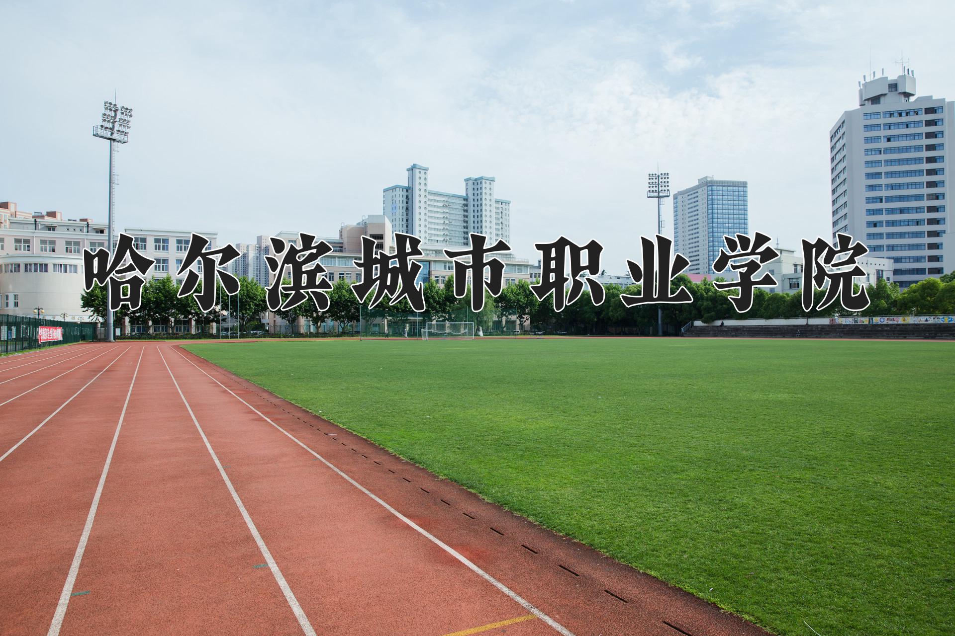 哈尔滨城市职业学院