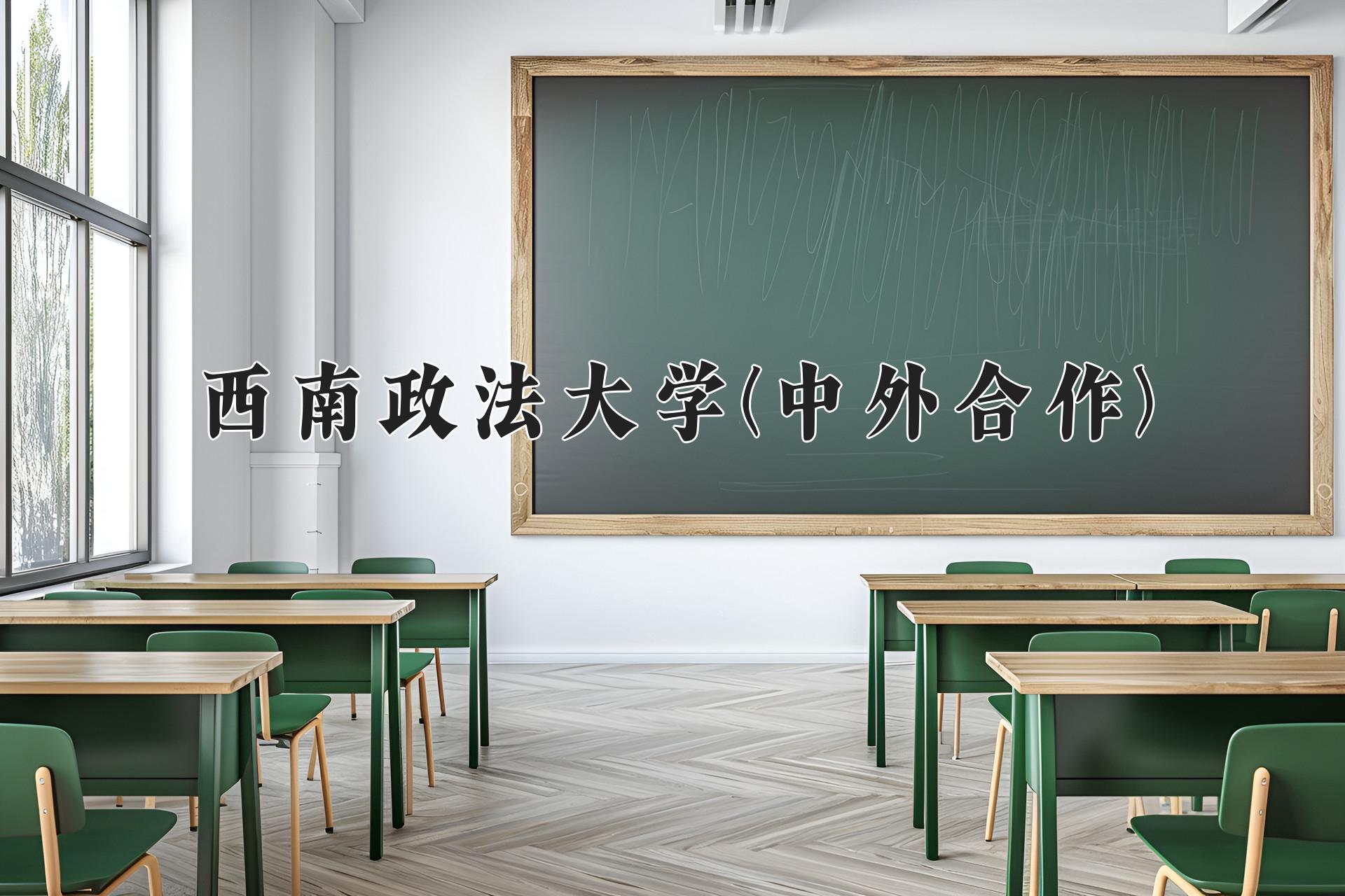 西南政法大学(中外合作)