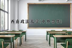 2024年西南政法大学(中外合作)在四川计划招生人数（附学费及专业录取分)