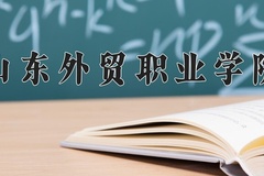 2024年山东外贸职业学院在河南计划招生人数（附学费及专业录取分)