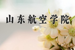 2024年山东航空学院在河南计划招生人数（附学费及专业录取分)
