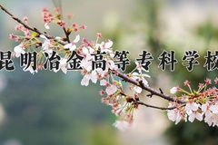 2024年昆明冶金高等专科学校在四川计划招生人数（附学费及专业录取分)