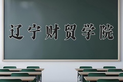 2024年辽宁财贸学院在河南计划招生人数（附学费及专业录取分)