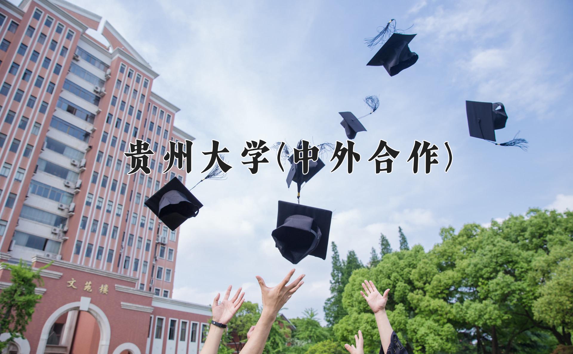 贵州大学(中外合作)