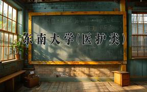 2024年东南大学(医护类)在四川计划招生人数（附学费及专业录取分)