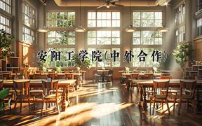 2024年安阳工学院(中外合作)在四川计划招生人数（附学费及专业录取分)