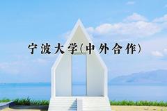 2024年宁波大学(中外合作)在四川计划招生人数（附学费及专业录取分)