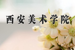 2024年西安美术学院在河南计划招生人数（附学费及专业录取分)