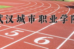 2024年武汉城市职业学院在河南计划招生人数（附学费及专业录取分)