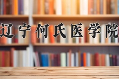 2024年辽宁何氏医学院在河南计划招生人数（附学费及专业录取分)