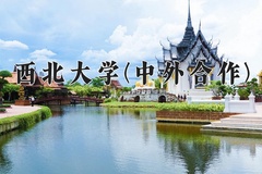2024年西北大学(中外合作)在四川计划招生人数（附学费及专业录取分)