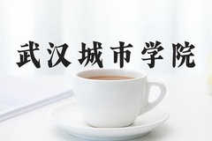 2024年武汉城市学院在四川计划招生人数（附学费及专业录取分)