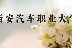 2024年西安汽车职业大学在四川计划招生人数（附学费及专业录取分)