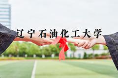 2024年辽宁石油化工大学在河南计划招生人数（附学费及专业录取分)