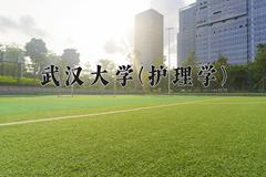 2024年武汉大学(护理学)在四川计划招生人数（附学费及专业录取分)