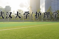 2024年武汉大学(护理学)在四川计划招生人数（附学费及专业录取分)