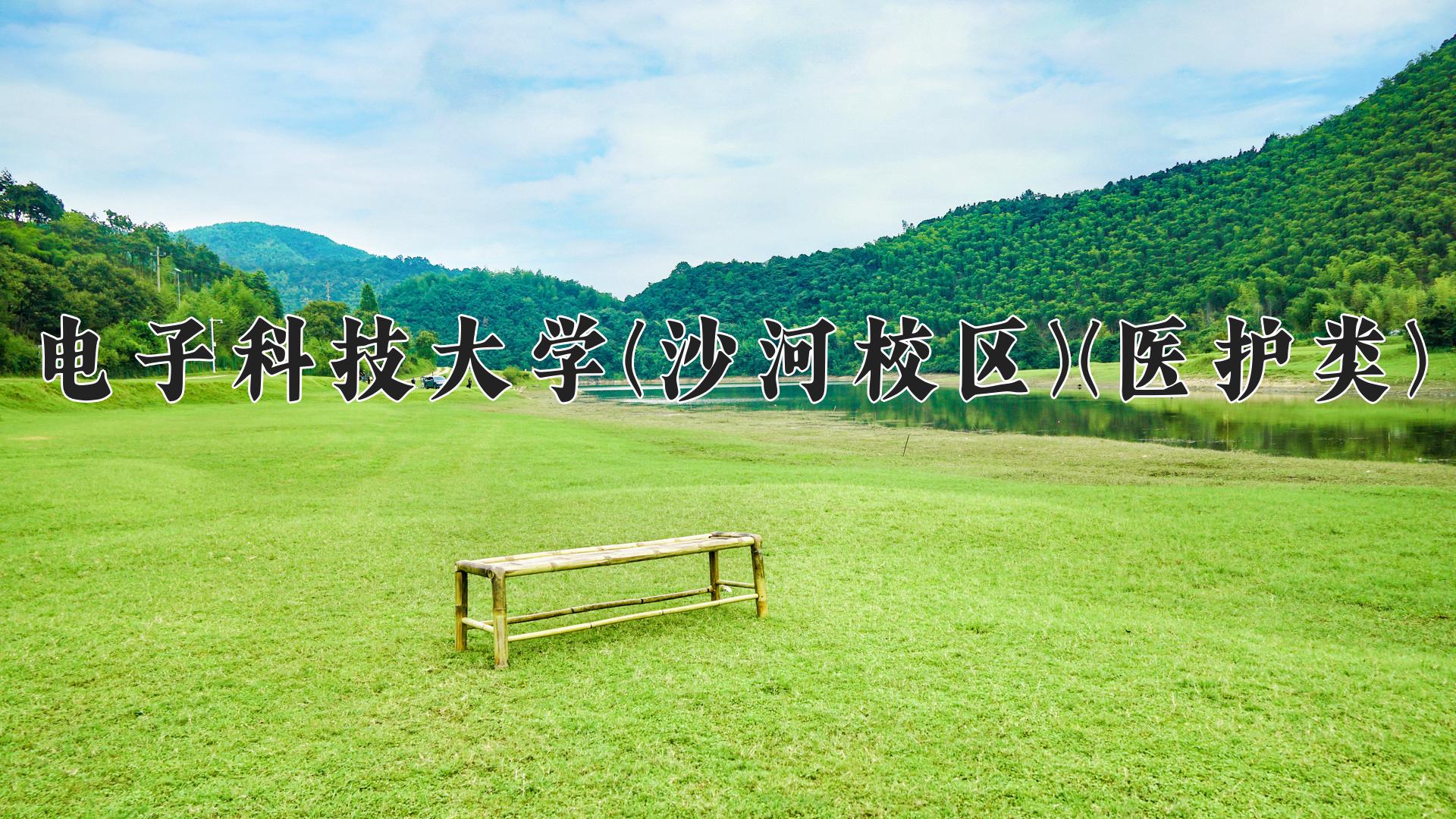 电子科技大学(沙河校区)(医护类)