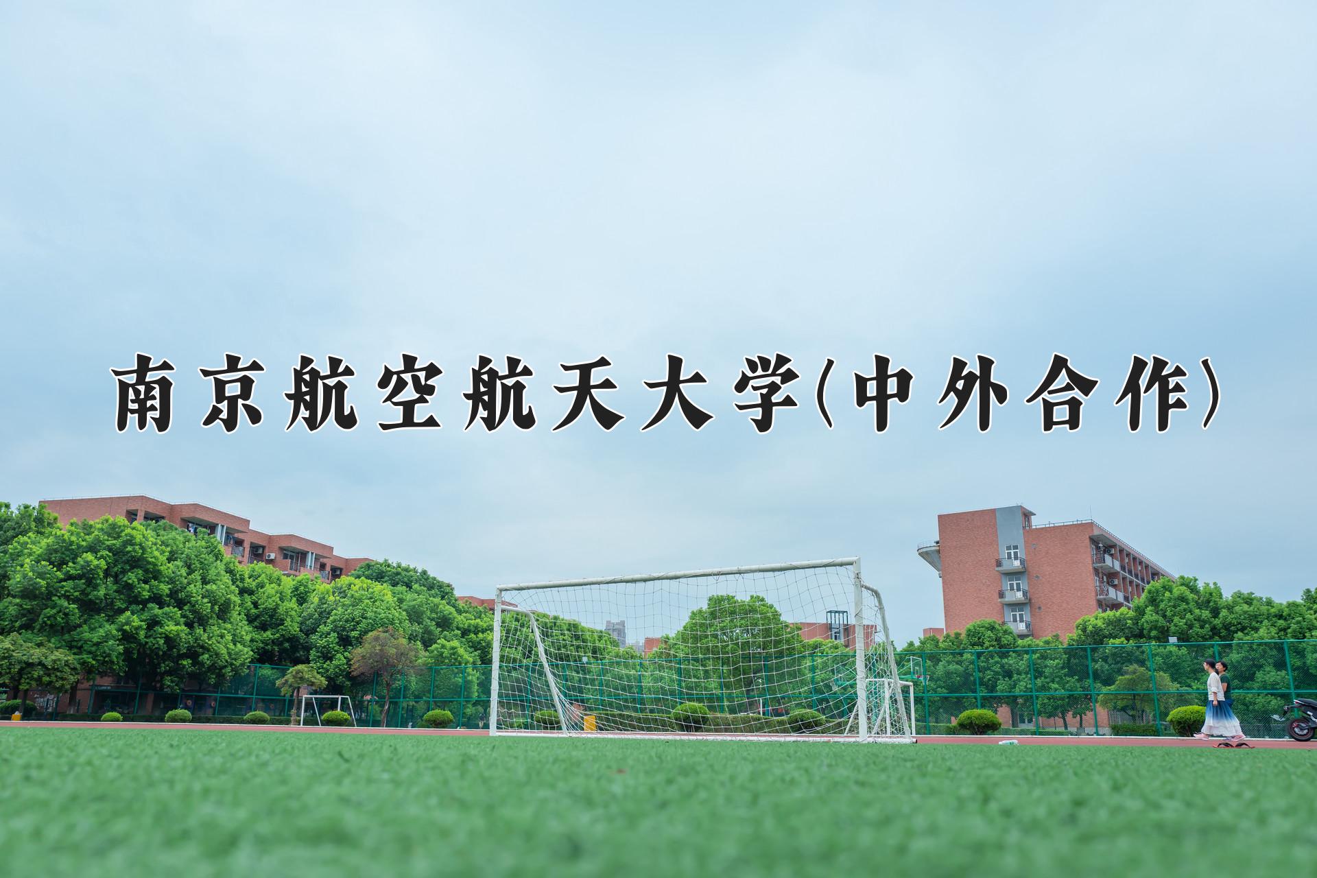 南京航空航天大学(中外合作)