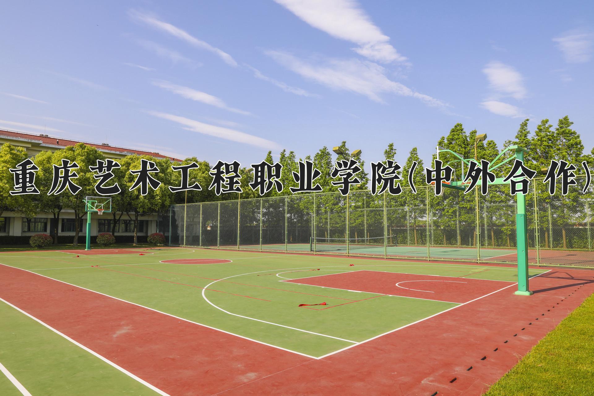 重庆艺术工程职业学院(中外合作)