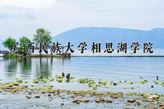 2024年广西民族大学相思湖学院在河南计划招生人数（附学费及专业录取分)