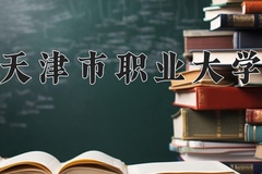 2024年天津市职业大学在四川计划招生人数（附学费及专业录取分)